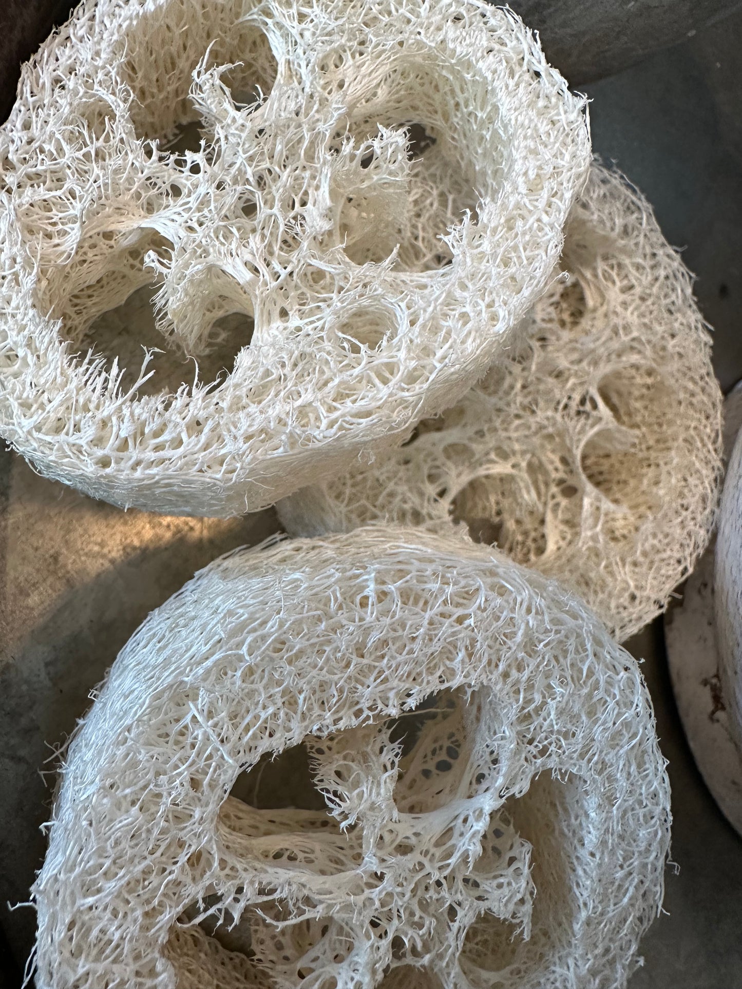 Loofah Slices - 2.25-3.25 - Idaho Soap Company