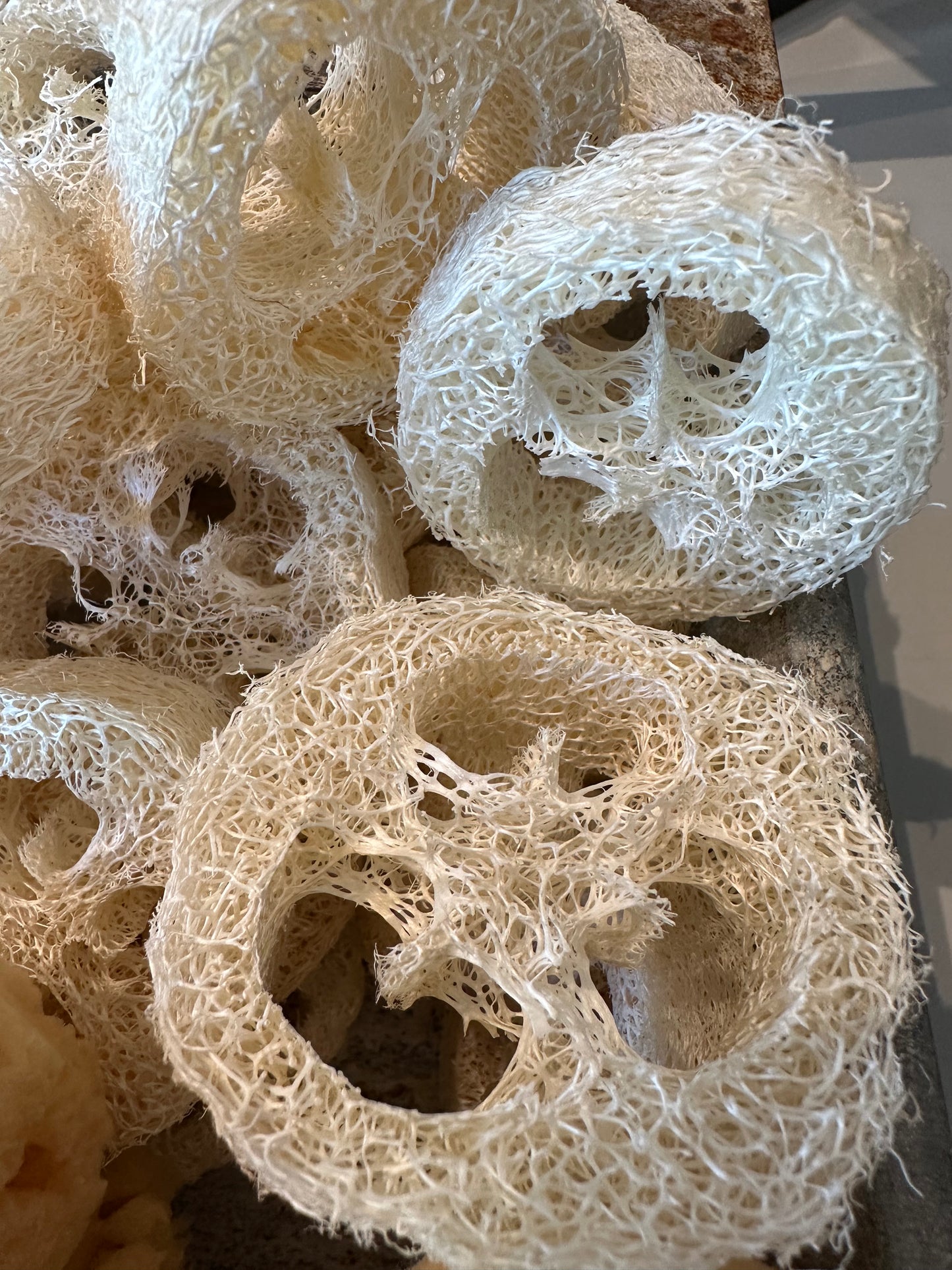 Loofah Slices - 2.25-3.25 - Idaho Soap Company
