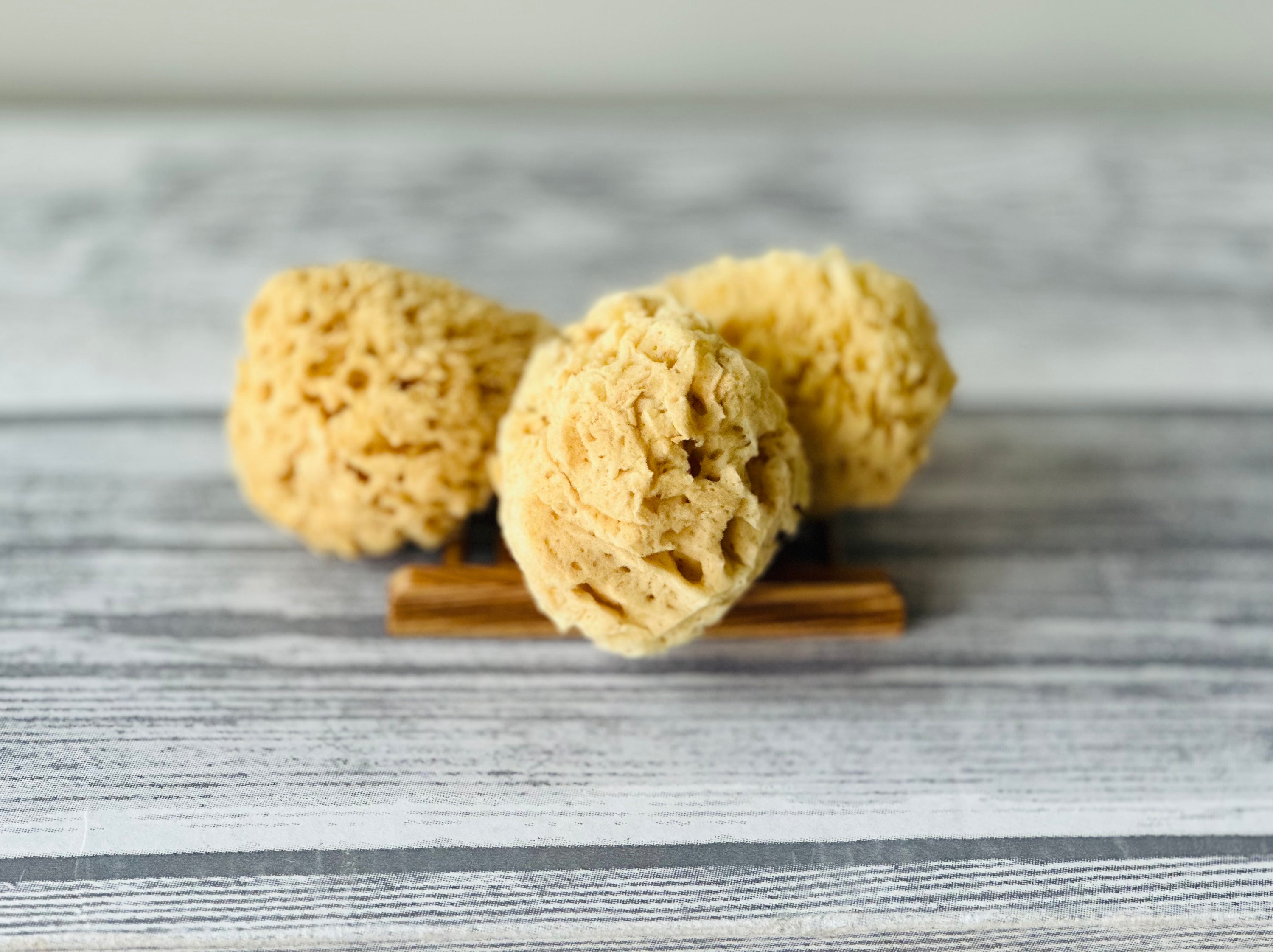 Wool Sea Sponges 2.50-3.50 - Idaho Soap Company