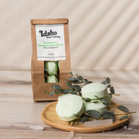Eucalyptus Mint Menthol Shower Steamers - Idaho Soap Company