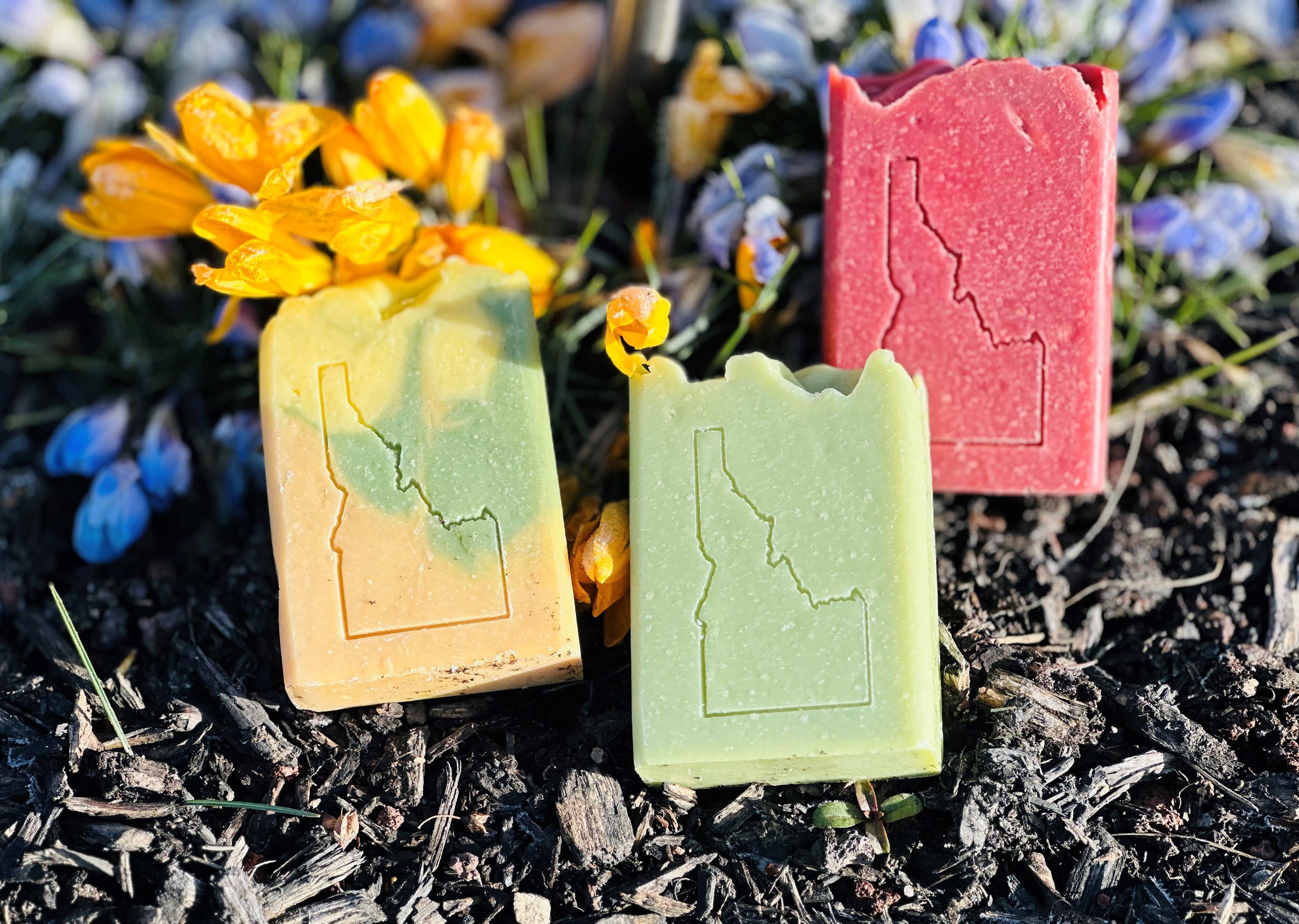 Lemon Burst - Spring Scent - Idaho Soap Company